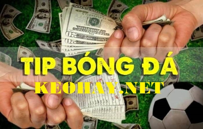 Tip kèo bóng đá hôm nay ngày 02/12/2023