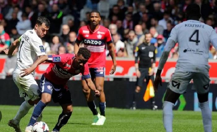 Lille vs Le Havre – Soi kèo nhà cái bóng đá 23h00 ngày 17/02/2024 – VĐQG Pháp