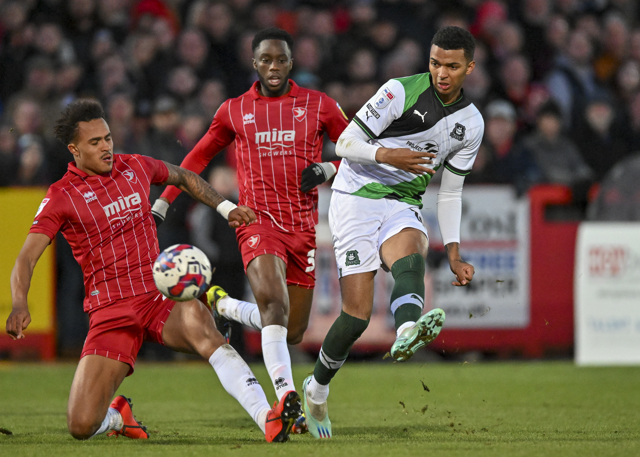 Plymouth Argyle vs Cheltenham Town – Soi kèo nhà cái bóng đá 01h45 ngày 15/08/2024 – Carabao Cup